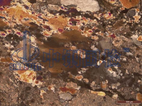 堿活性檢測(cè)圖像